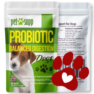 Probiotic Tablets For Dogs
