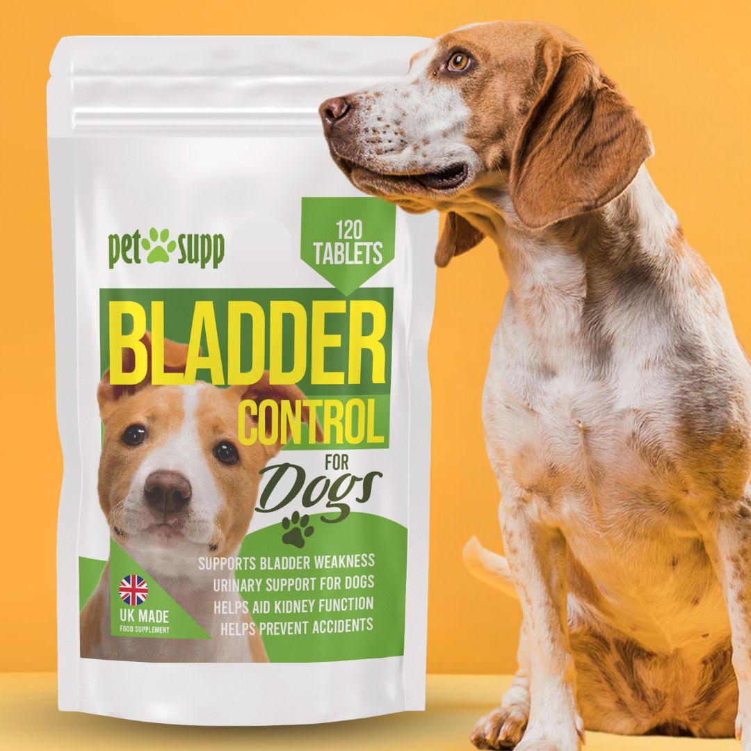 Bladder Urinary Support 120 Senior Dog Tablets for Cystitis Relief Kidney Care