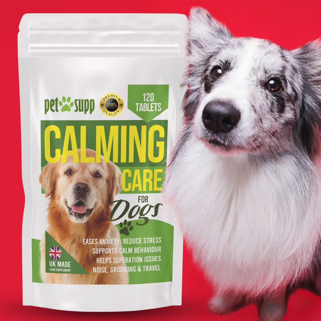 Calming Support for Dogs Stress Anxiety & Calms Behaviour, 120 Tablets
