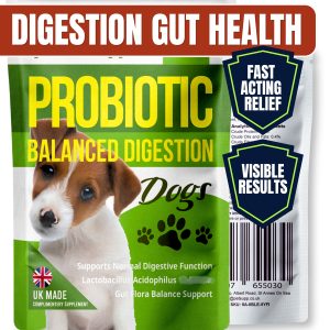 dog probiotic digestion gut health