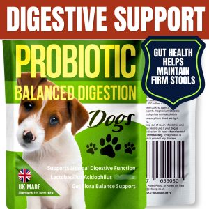 dog probiotic digestion gut health loose stool sensetive stomach