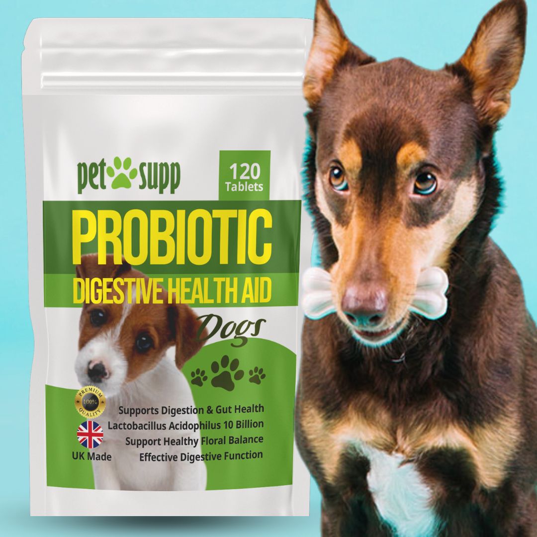 Probiotics for Dogs, 10 billion CFU, Good Stomach & Gut Health, 120 Tablets