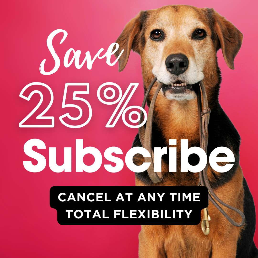 subscribe now (1)