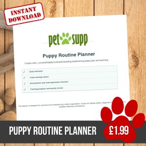 dog puppy routine planner