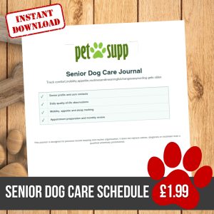 dog senior dog care schedule